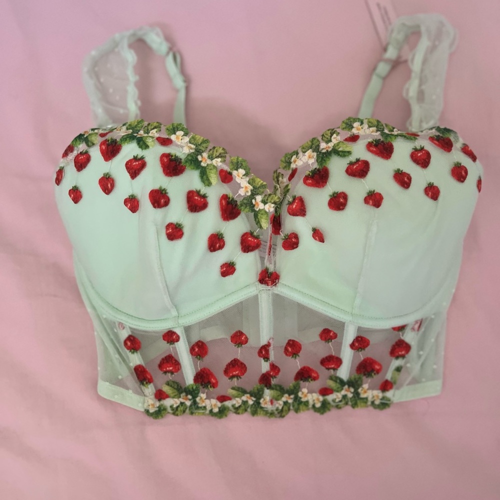 Victoria’s Secret Strawberry Embroidered Bustier Top